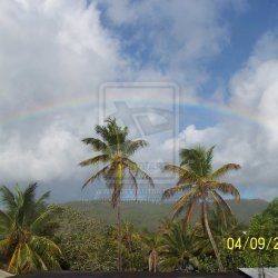 Tropical Rainbow