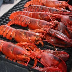 Grilled Summer Lobster