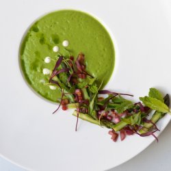 Chilled Herb Soup
