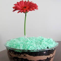 Dirt Cake II
