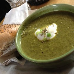 Spinach Fennel Soup
