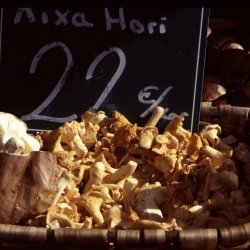 Basque Mushroom Toasts