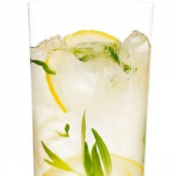 Sparkling Tarragon-Gin Lemonade