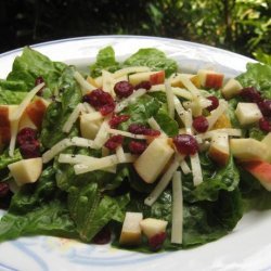 Winter Fruit Salad With Lemon Poppy Seed Dressing