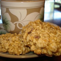 Low Fat Oatmeal Chocolate Chip Cookies
