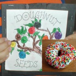 Grow Your Own Magic Doughnuts - Donuts