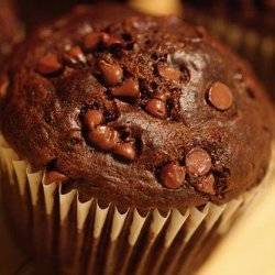 Devil's Food Chocolate Chip Muffins