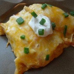 Cheese and Chicken Enchiladas (OAMC)