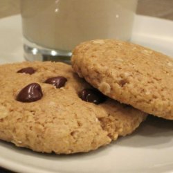 Vegan Peanut Butter Chocolate Chip Oatmeal Cookies
