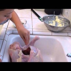 Cooking a Turkey in a Bag