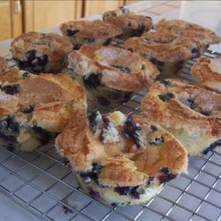 Blueberry Cake/Cupcakes