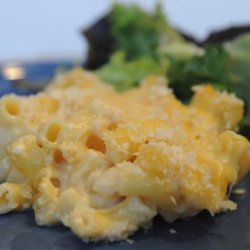 Gourmet Four Cheese Macaroni and Cheese