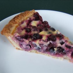 Blueberry Yogurt Pie