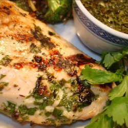 Grilled Chicken With Coriander/Cilantro Sauce