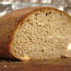 Sourdough Honey Whole Wheat Bread