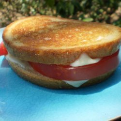 Grilled Swiss & Tomato on Rye