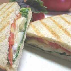 Four Cheese Panini With Basil Tomatoes