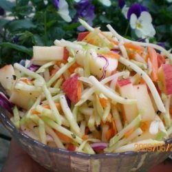 Weight Watchers Apple Cole Slaw (1-Point)