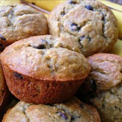 Low Fat Chocolate Chip Banana Muffins