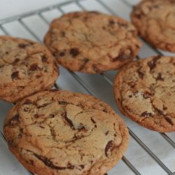 Best Basic Chocolate Chip Cookies