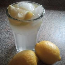 Lemon Shake-Up
